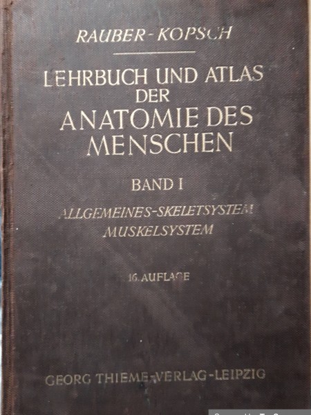 Lehrbuch und Atlas der Anatomie des Menschen; Band 1