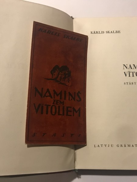 Namiņš zem vītoliem