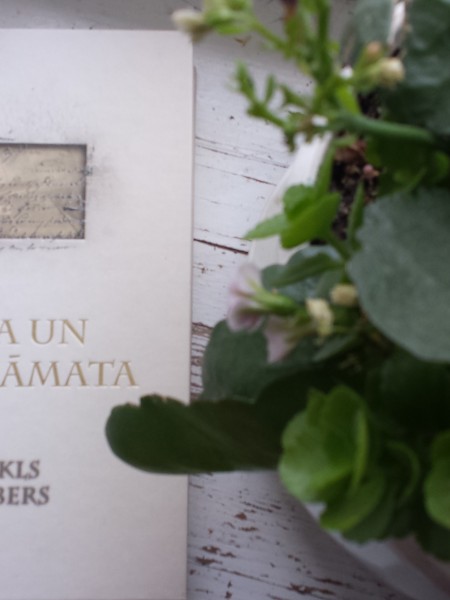 Gaisa un ēnu grāmata