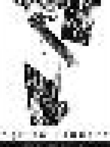 Izplatītāja rokasgrāmata