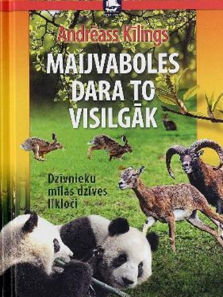 Maijvaboles dara to visilgāk