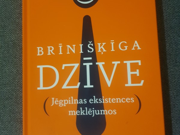 Brīnišķīga dzīve (jēgpilnas eksistences meklējumos)