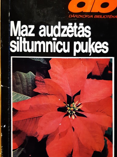 Maz audzētās siltumnīcu puķes