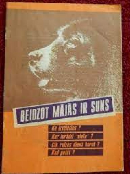 Beidzot mājās ir suns