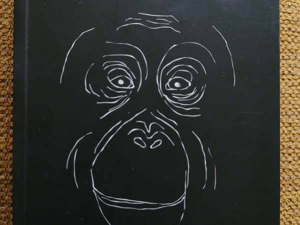 Domā. Neatvairāms ievads filozofijā