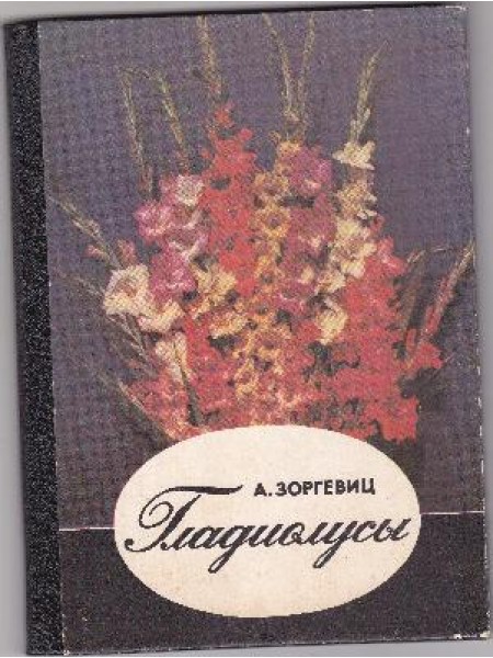 Гладиолусы