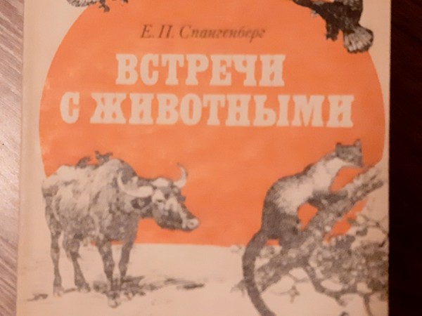 Встречи с животными