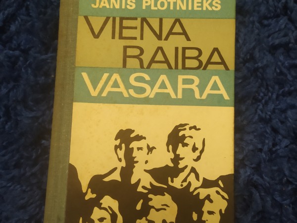 Viena raiba vasara
