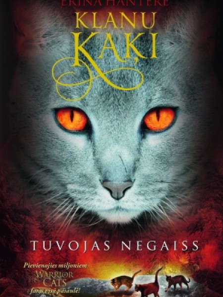 Klanu kaķi.Tuvojas  negaiss.