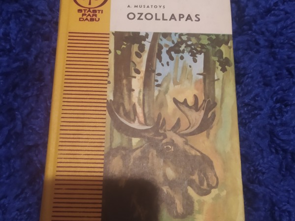 Ozollapas