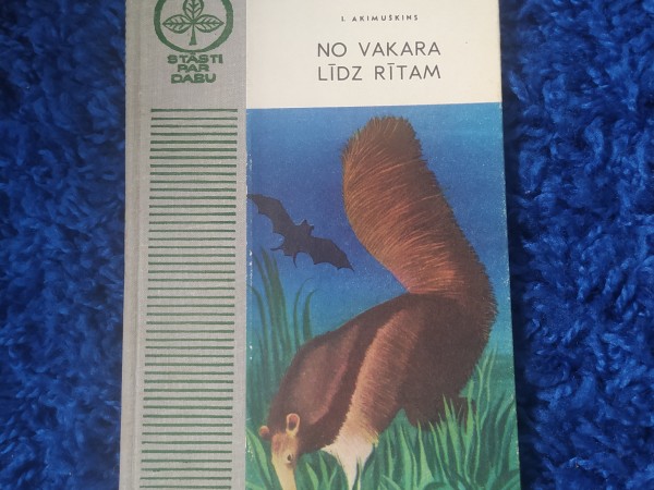 No vakara līdz rītam