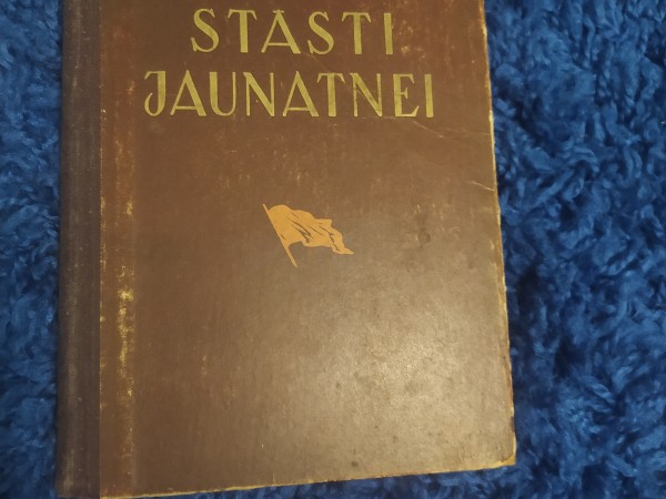 Stāsti jaunatnei