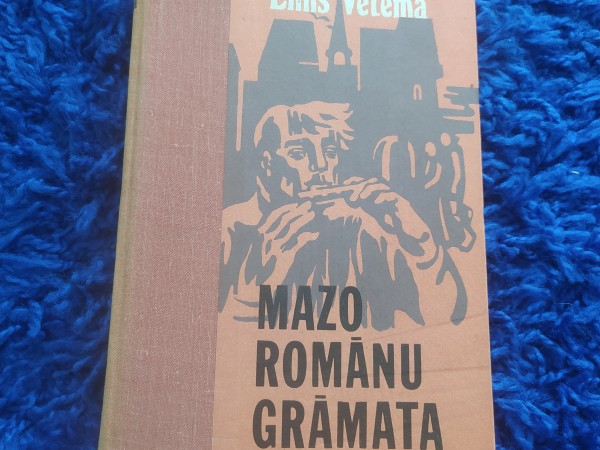 Mazo romānu grāmata
