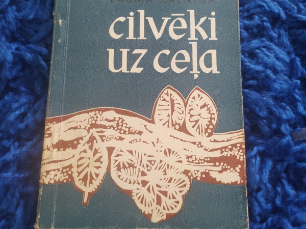 Cilvēki uz ceļa