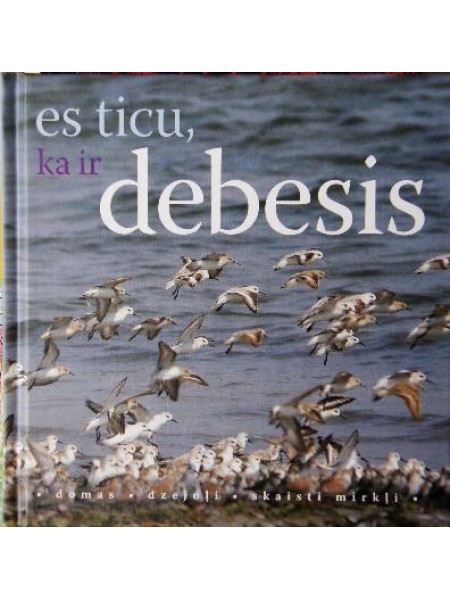 Es ticu, ka ir debesis