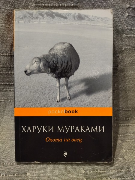 Охота на овец