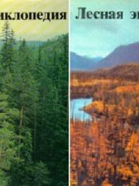 Лесная энциклопедия (комплект из 2 книг)