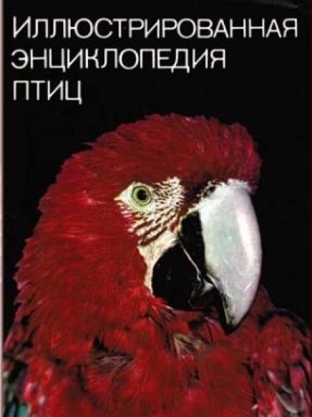 Иллюстрированная энциклопедия птиц