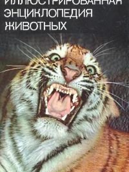 Иллюстрированная энциклопедия животных