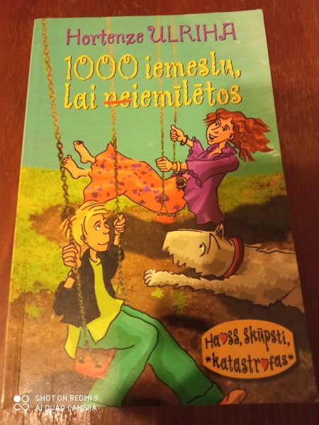 1000 iemesl, lai neiemīlētos