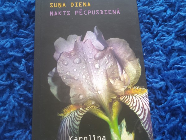 Suņa diena. Nakts pēcpusdienā