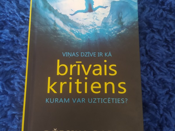 Brīvais kritiens