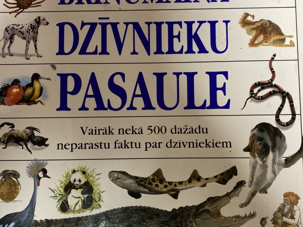 Brīnumainā dzīvnieku pasaule