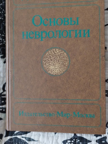 Основы неврологии