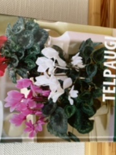 Telpaugu enciklopēdija