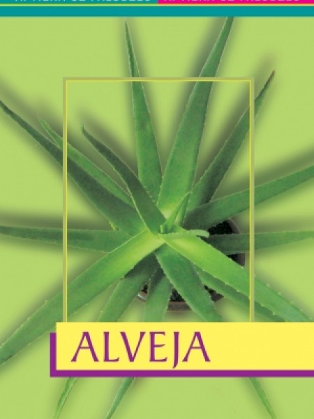 Aptieka uz palodzes: Alveja