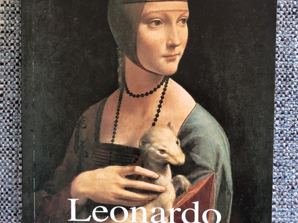 Leonardo da Vinči