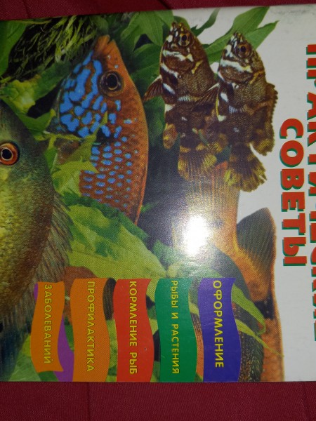 Аквариум практически советы