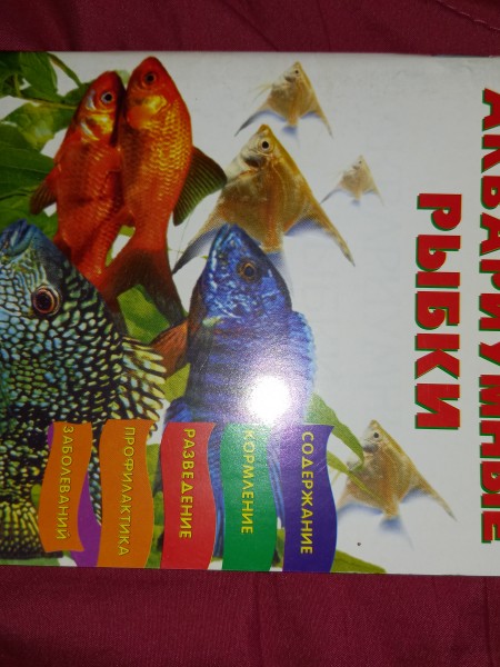 Аквариумные рыбки