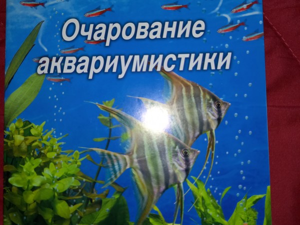 Очарование аквариумистики