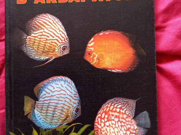 Дискусы в аквариуме