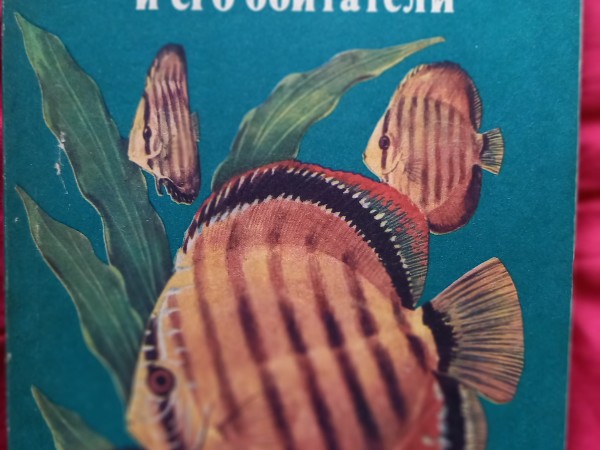 Аквариум и его обитатели