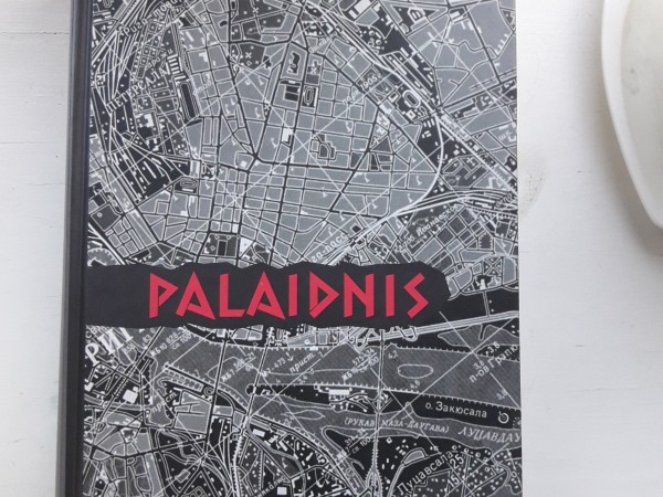 Palaidnis