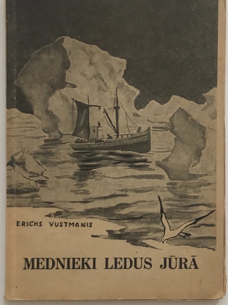 Mednieki ledus jūrā