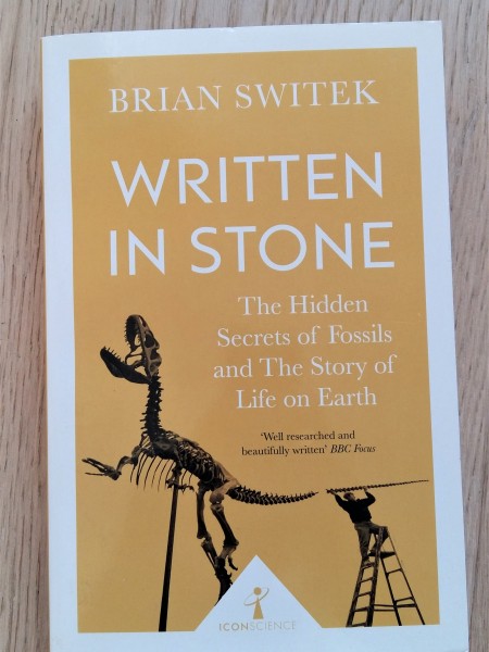 Written in Stone (Icon Science)