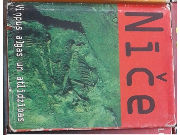 Viņpus algas un atlīdzības