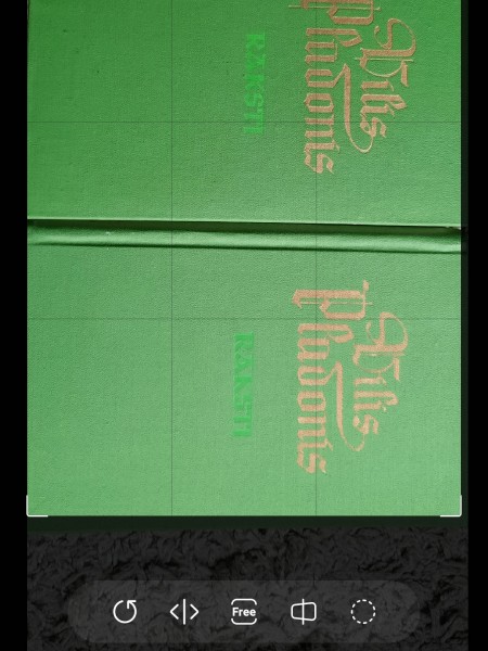 Vilis Plūdonis darbi I un II SEJUMS