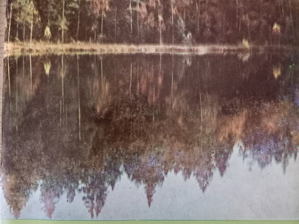 Latvijas PSR pilsētu un pilsētciematu zaļās zonas