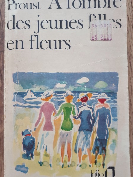 A l'ombre des jeunes filles en fleurs