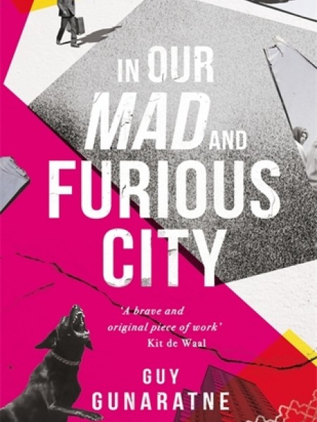 In Our Mad and Furious City