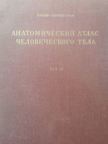 Анатомический атлас человеческого тела том3