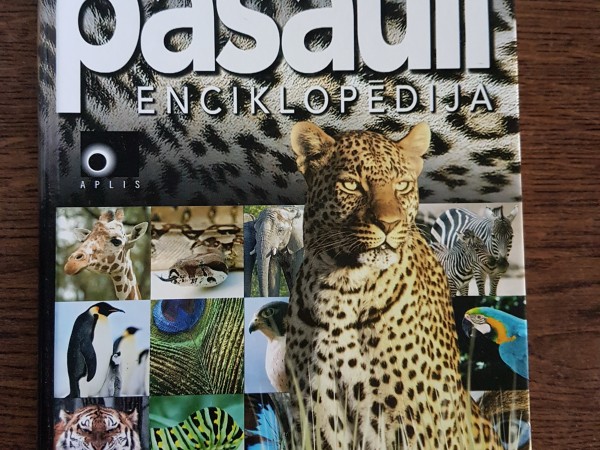 Es iepazīstu pasauli