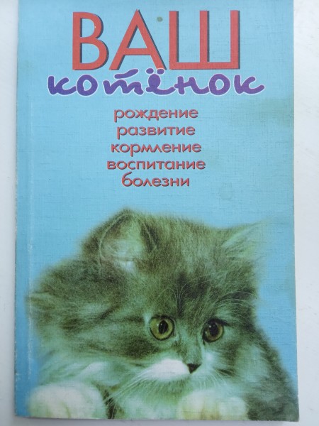 Ваш котёнок