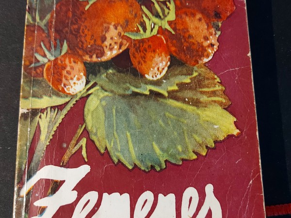 Zemenes