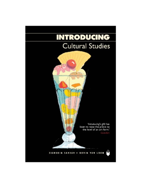 Introducing Cultural Studies