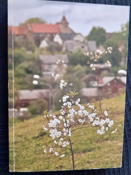 Ziedošais ķiršu dārzs. Tukuma Imants